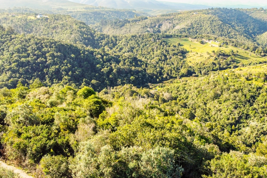 0 Bedroom Property for Sale in Wilderness Heights Western Cape